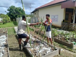 Polsek Elikobel Laksanakan Program Ketahanan Pangan di Pekarangan Bergizi