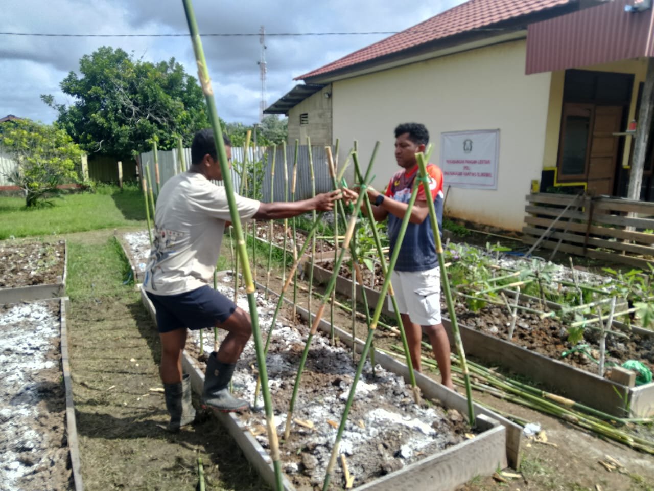 Polsek Elikobel Laksanakan Program Ketahanan Pangan di Pekarangan Bergizi