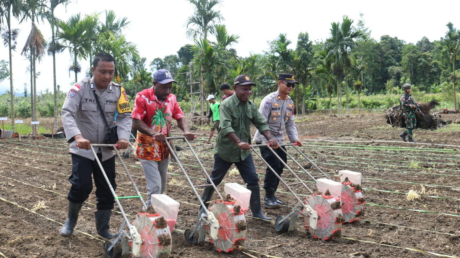 Dukung Ketahanan Pangan, Kelompok Tani Binaan Sat Binmas Polres Keerom Lakukan Penanaman Bibit Jagung dan Padi