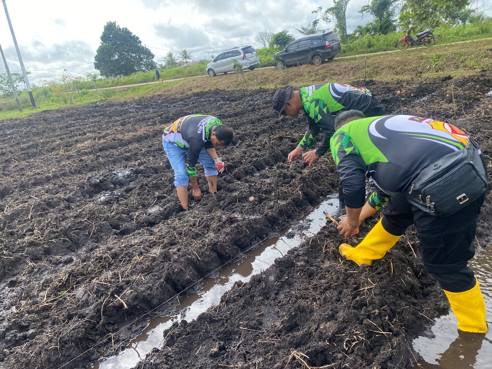 Polsek Merauke Kota Dukung Program Ketahanan Pangan melalui Penanaman Jagung