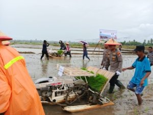 Hadiri Penanaman Padi Serentak di Oransbari, Kapolres Mansel Siap Dukung Program Ketahanan Pangan