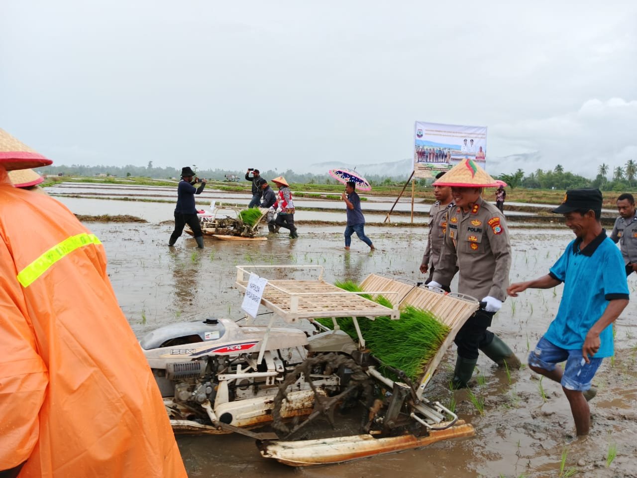 Hadiri Penanaman Padi Serentak di Oransbari, Kapolres Mansel Siap Dukung Program Ketahanan Pangan