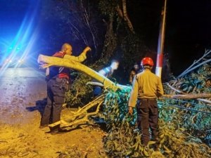 Sinergi Polri dan Masyarakat Bersihkan Pohon Tumbang di Belakang RS Bhayangkara