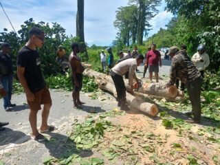 Polsek Muara Tami Sigap Tangani Pohon Tumbang di Jalan Poros Koya Tengah