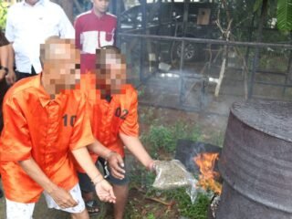 Polda Papua Musnahkan 6,3 Kilogram Narkotika Hasil Pengungkapan Jaringan Lintas Wilayah Februari 2026