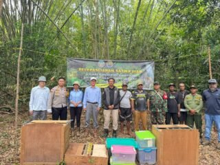 Polsek Muting Bersinergi dengan KSDA Lepasliarkan Satwa Dilindungi di Rawa Bian