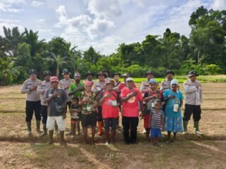 Polsek Bonggo Dorong Ketahanan Pangan, Bersama Petani Tanam Kacang Tanah di Kampung Rotea